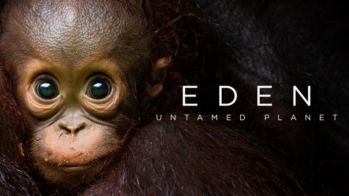 Eden: Untamed Planet Episode No.1 on JioTV
