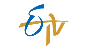 Seetharamayya Gari Manavaralu on ETV Telugu - past program