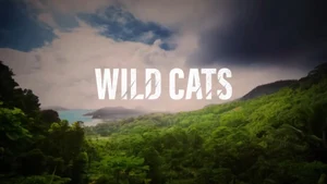 Wild Cats on Animal Planet HD English - past program