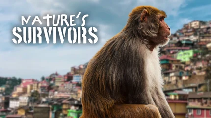 Nature's Survivors on Animal Planet English