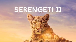 Serengeti II Episode 2 on Sony BBC Earth SD - past program