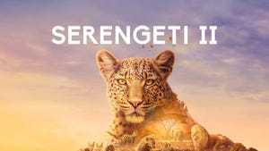 Serengeti II on Sony BBC Earth SD - past program