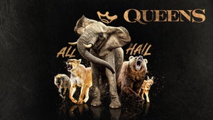 Queens Episode 7 on Nat Geo Wild HD - future program