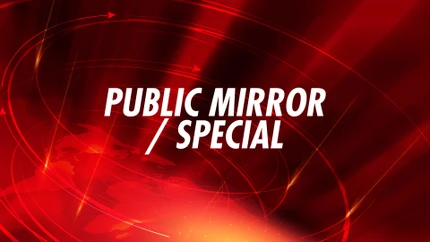 Public Mirror / Special on Public TV