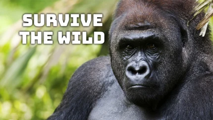 Survive the Wild on Animal Planet HD World
