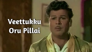 Veettukku Oru Pillai on Sun Life - past program
