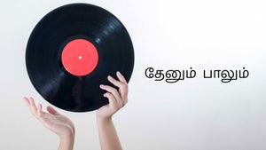 Thenum Paalum on Kalaignar TV - past program