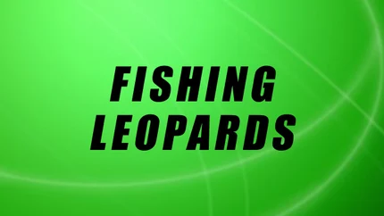 Fishing Leopards on Animal Planet English