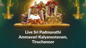 Live Sri Padmavathi Ammavari Kalyanostavam, Tiruchanoor on SVBC3 - past program