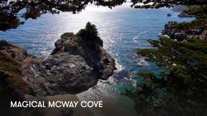 Magical Mcway Cove on Stingray Naturescape - past program