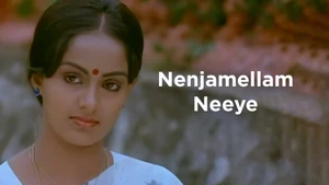 Nenjamellam Neeye on Raj Digital Plus - past program