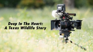 Deep In The Heart: A Texas Wildlife Story on Animal Planet Tamil - past program