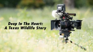 Deep In The Heart: A Texas Wildlife Story on Animal Planet Tamil - past program