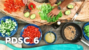 PDSC 6 on PTC Punjabi - past program