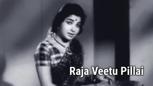 Raja Veetu Pillai on Raj Digital Plus - past program