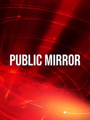 Public Mirror on Public TV - past program