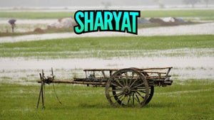 Sharyat on Star Pravah Picture HD - past program