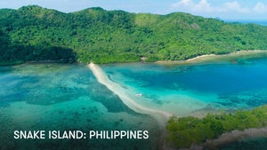 Snake Island: Philippines on Stingray Naturescape - future program