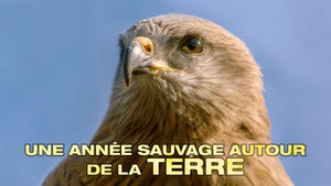 A Wild Year On Earth Episode 2 on Animal Planet Telugu - past program