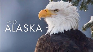 Wild Alaska on Sony BBC Earth SD - past program