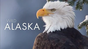 Wild Alaska on Sony BBC Earth SD - past program