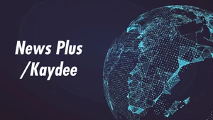 News Plus/Kaydee on T News - past program