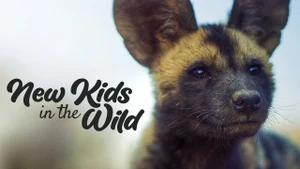 New Kids In The Wild on Animal Planet Hindi