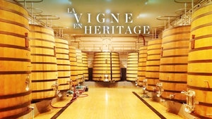 TV5 Monde on TV5 Monde - past program