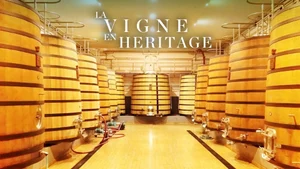 TV5 Monde on TV5 Monde - past program