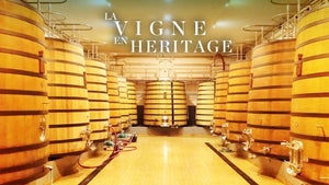 TV5 Monde on TV5 Monde - past program