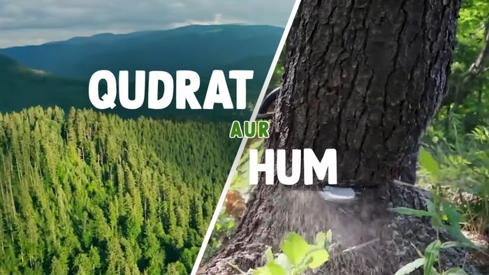 Qudrat aur Hum on JioTV