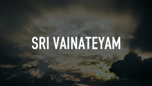 Sri Vainateyam on SVBC - past program