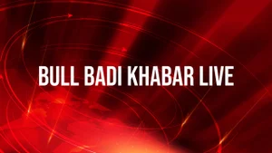 Bull Badi Khabar Live on STV Haryana News