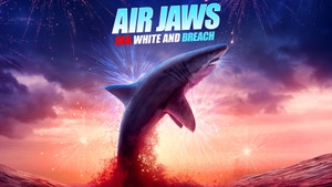 Air Jaws: Red, White and Breach on Animal Planet HD Hindi - past program
