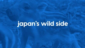 Japan's Wild Side on Animal Planet HD English - past program