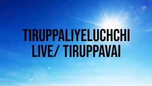 Tiruppaliyeluchchi Live/ Tiruppavai on SVBC - past program