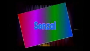 Sonzal on DD Kashir - past program