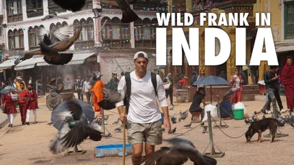 Wild Frank in India on Animal Planet HD World