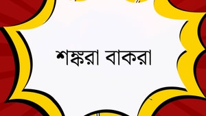 Shankara Bakara on Nandighosha - past program