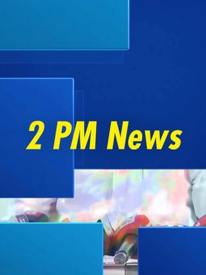 2 PM News on TV 5 News - past program