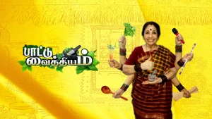 Pattu Vaithiyam on Sri Sankara - past program