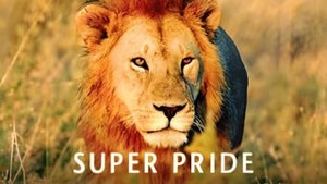 Superpride on Nat Geo Wild HD - live program