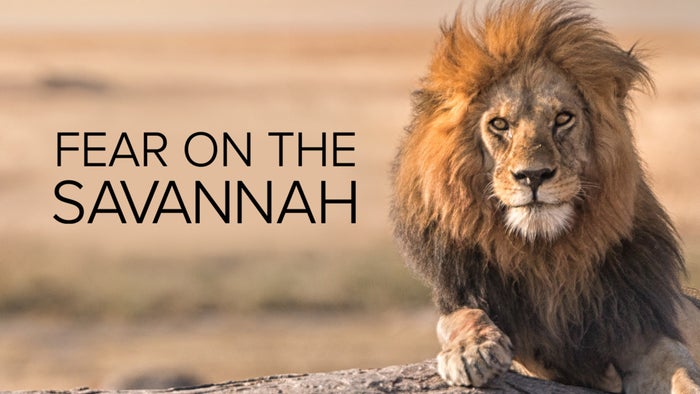 Fear on the Savannah on JioTV