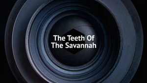 The Teeth of the Savannah on Animal Planet HD English - past program