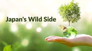 Japan's Wild Side on Animal Planet HD English - past program
