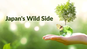 Japan's Wild Side on Animal Planet HD English - past program
