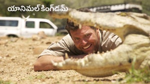 Animal Kingdom on Safari TV - past program