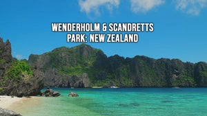 Wenderholm & Scandretts Park: New Zealand on Stingray Naturescape - past program