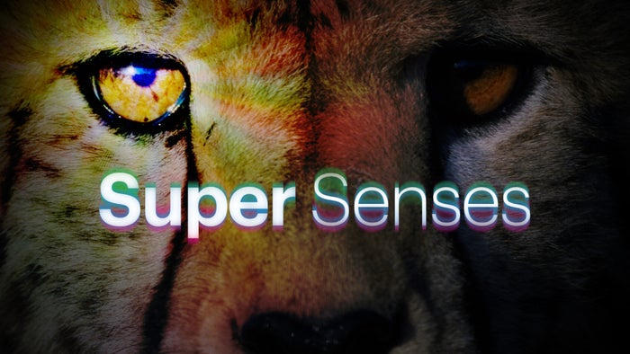 Super Senses Episode No.11 on JioTV