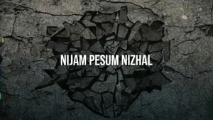 Nijam Pesum Nizhal on Vasanth TV - past program